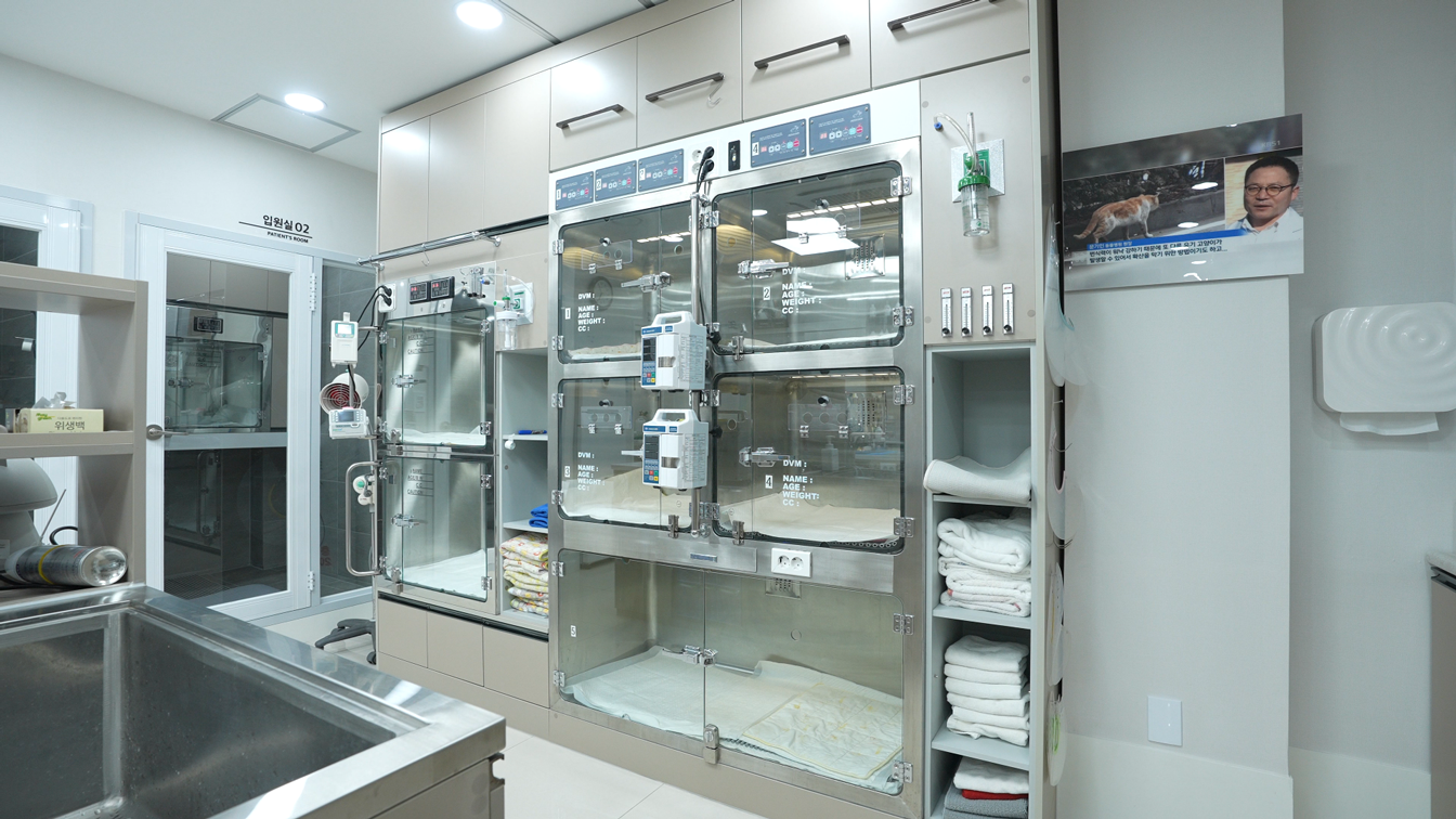 용문조아동물병원 반려동물 입원실