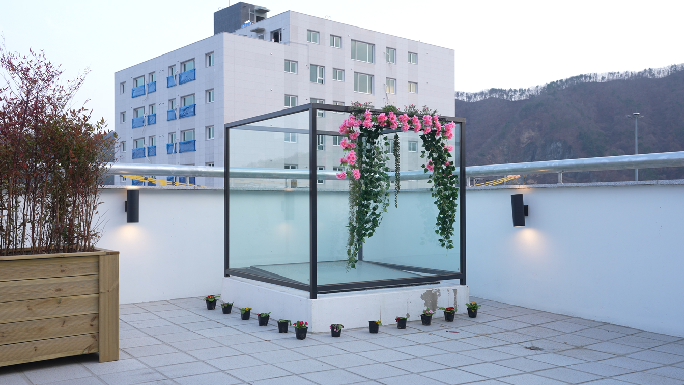 용문조아동물병원 옥상 포토존