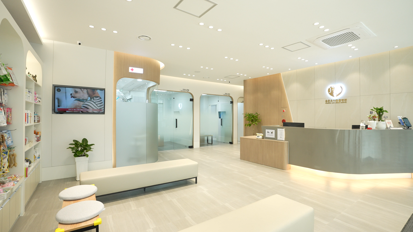 용문조아동물병원 고객 대기실